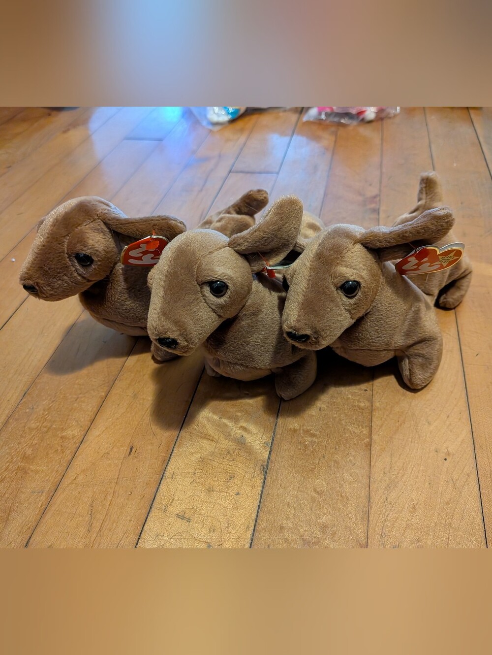 TY Beanie Babies Dachshund Plush Dog